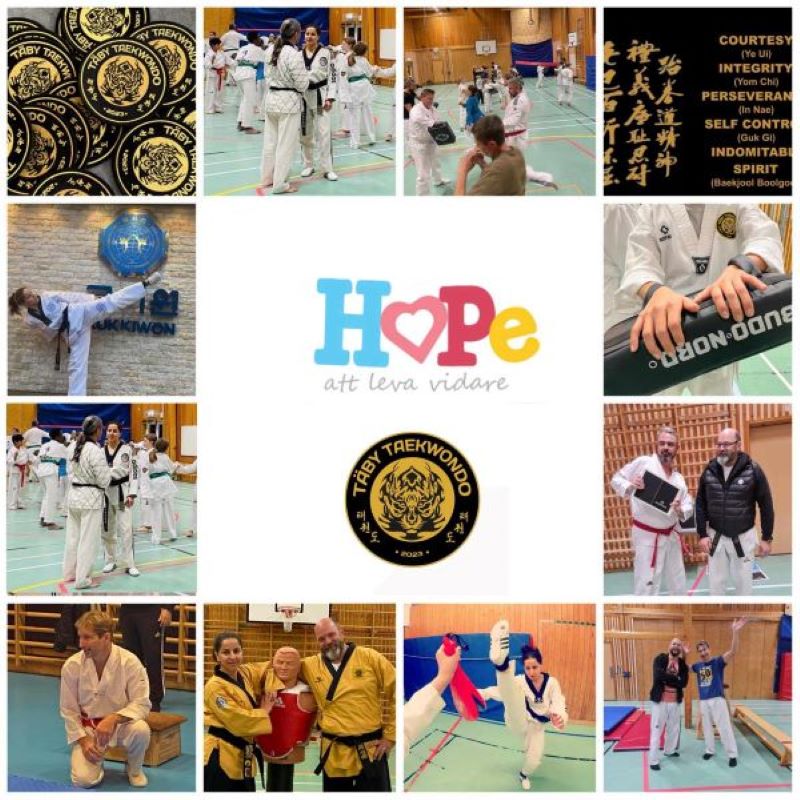 HOPE i Samverkan med Täby Taekwondo hemsida HOPE i Samverkan med Täby Taekwondo 1